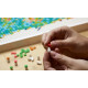 Конструктор LEGO Art Карта світу 11695 деталей (31203) Конструктор LEGO Art Карта світу 11695 деталей (31203)