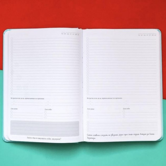 Блокнот с котом Хвост и Усы Diary My perfect day недатированный русский язык Тиффани Блокнот с котом Хвост и Усы Diary My perfect day недатированный русский язык Тиффани