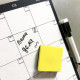 Календарь на месяц Магнитный My Perfect Month Бизнес Кот LifeFLUX А3 черно-белый Календарь на месяц Магнитный My Perfect Month Бизнес Кот LifeFLUX А3 черно-белый