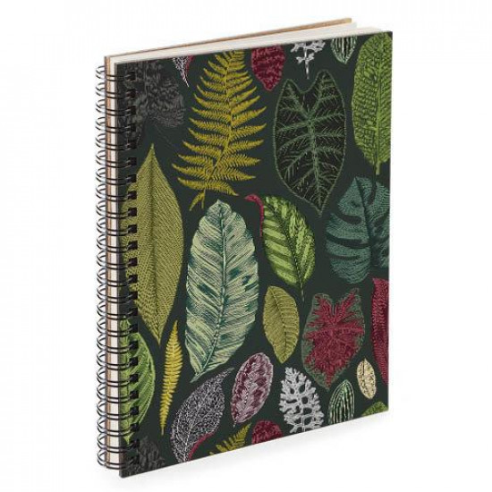 Блокнот Sketchbook Тропічні листи А5 (BDP_TRO014) Блокнот Sketchbook Тропічні листи А5 (BDP_TRO014)