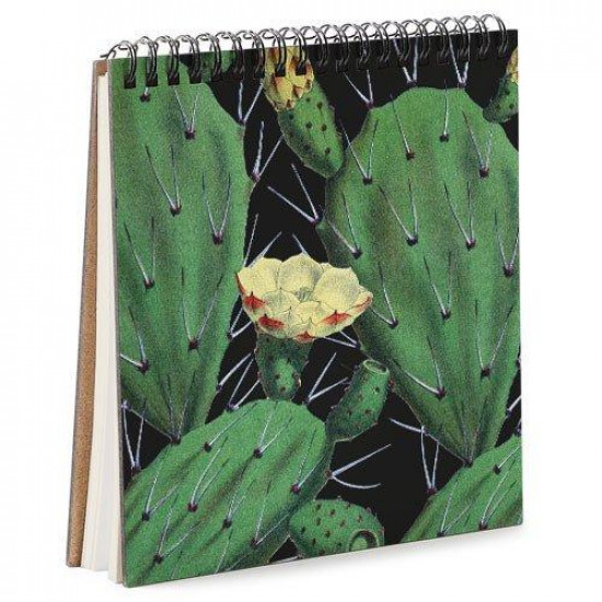 Блокнот Sketchbook Зелені кактуси квадратний 16,7 х18 см (BDK_17A017) Блокнот Sketchbook Зелені кактуси квадратний 16,7 х18 см (BDK_17A017)