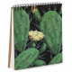 Блокнот Sketchbook Зелені кактуси квадратний 16,7 х18 см (BDK_17A017) Блокнот Sketchbook Зелені кактуси квадратний 16,7 х18 см (BDK_17A017)