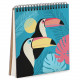 Блокнот Sketchbook Туканы квадратный 16,7х18 см (BDK_EX006) Блокнот Sketchbook Туканы квадратный 16,7х18 см (BDK_EX006)