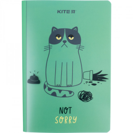 Блокнот Kite А5+ 40 листов, Sorry cat (K22-460-2) Блокнот Kite А5+ 40 листов, Sorry cat (K22-460-2)