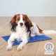 Килимок для собак і кішок Trixie охолодний 65х50 см Блакитний (4011905286846) Килимок для собак і кішок Trixie охолодний 65х50 см Блакитний (4011905286846)