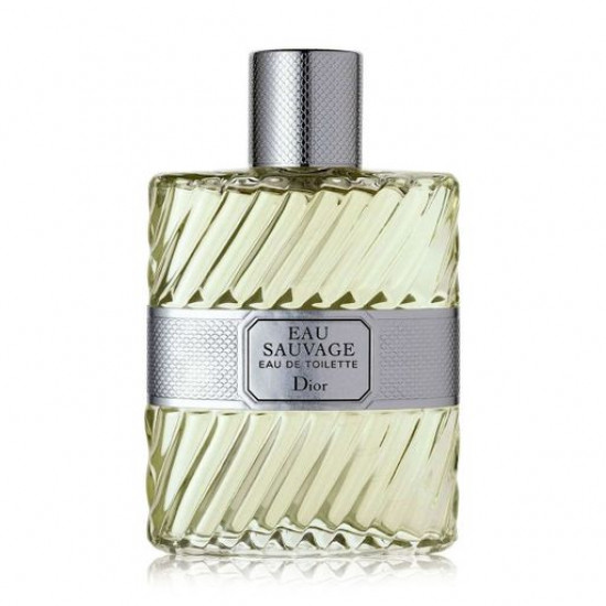 Christian Dior Eau Sauvage Туалетная вода мужская, 100 мл (ТЕСТЕР)
Christian Dior Eau Sauvage Туалетная вода мужская, 100 мл (ТЕСТЕР)
