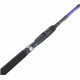Спиннинг телескоп Balzer Xanadu 2,70м. 10-40гр.(11110270) Спиннинг телескоп Balzer Xanadu 2,70м. 10-40гр.(11110270)